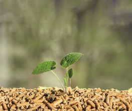 Heizen mit Hackgut – Energie aus heimischen Wäldern